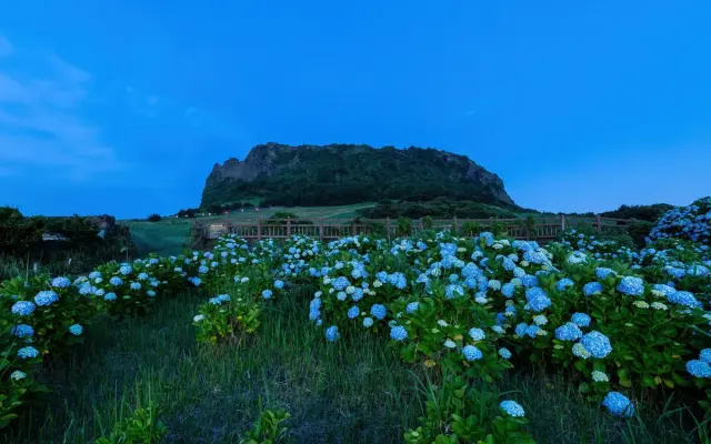 Jeju cruise port