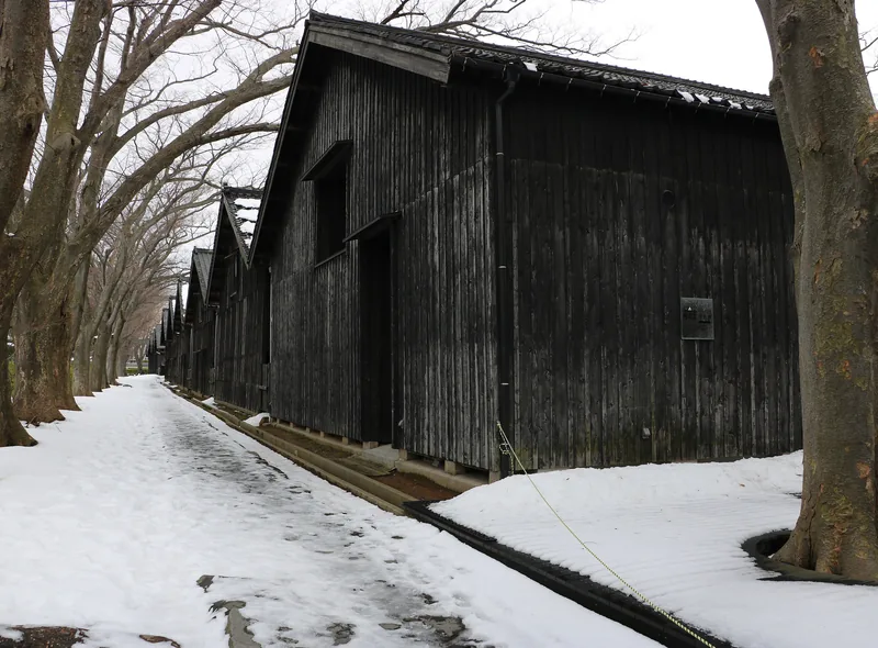 The zelkova-lined row of Sankyo rice warehouses in Sakata