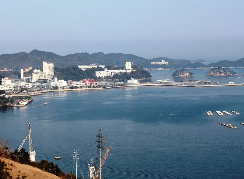 Toba