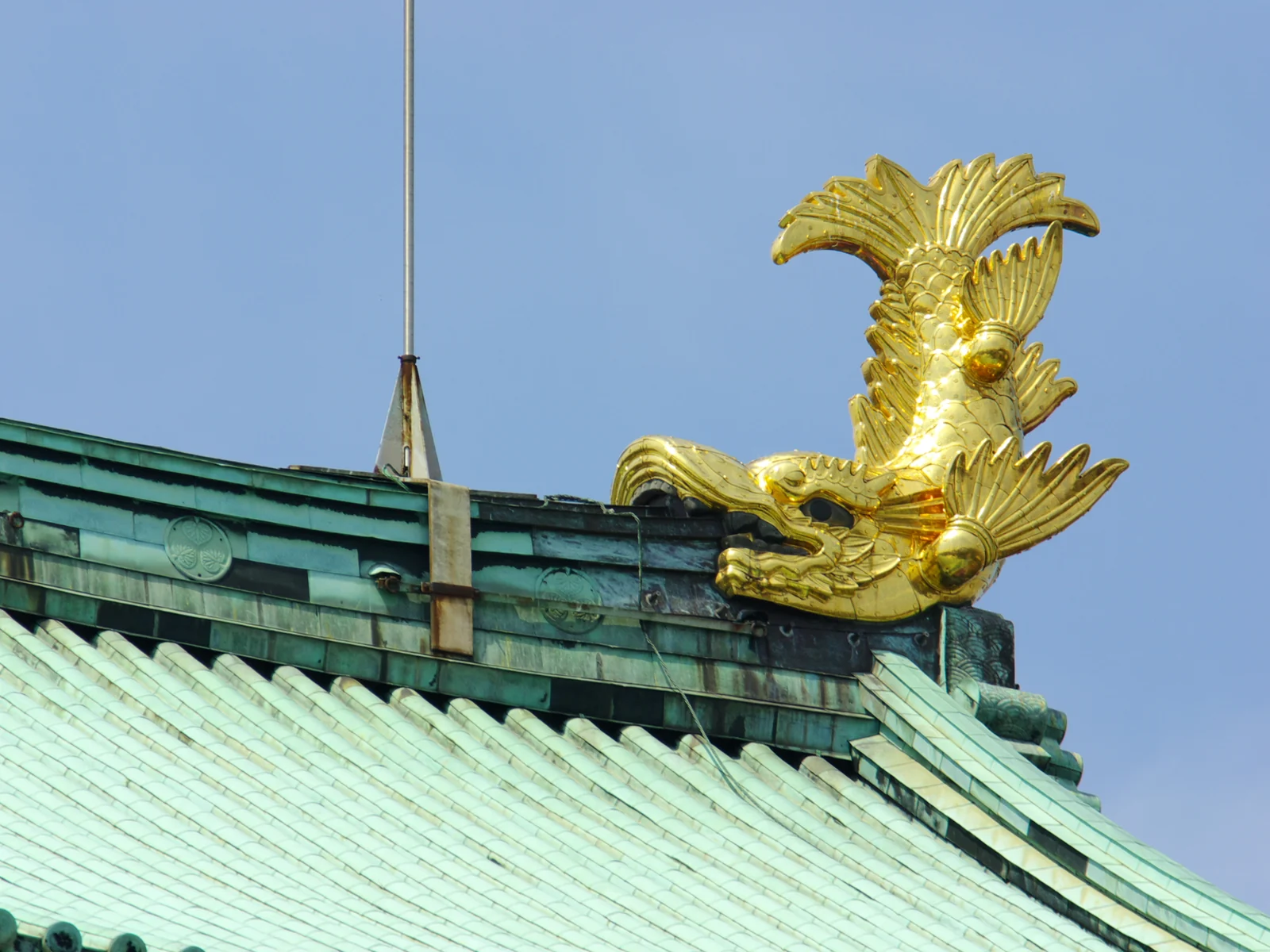 Close-up of a golden shachihoko, a tiger-headed fish with gold scales, on the roof of Nagoya Castle's keep