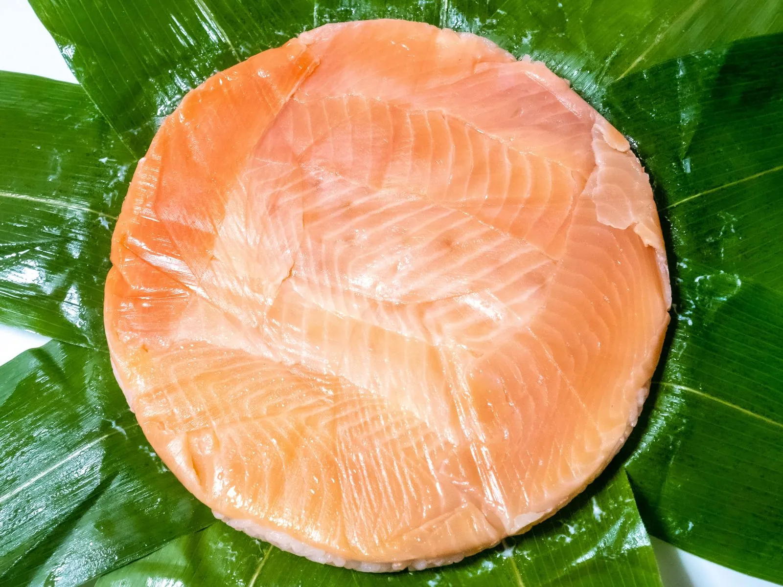 Masu-zushi