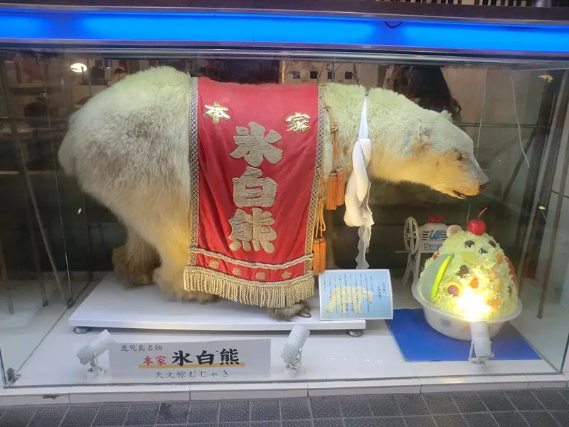 Shirokuma at Tenmonkan Mujaki