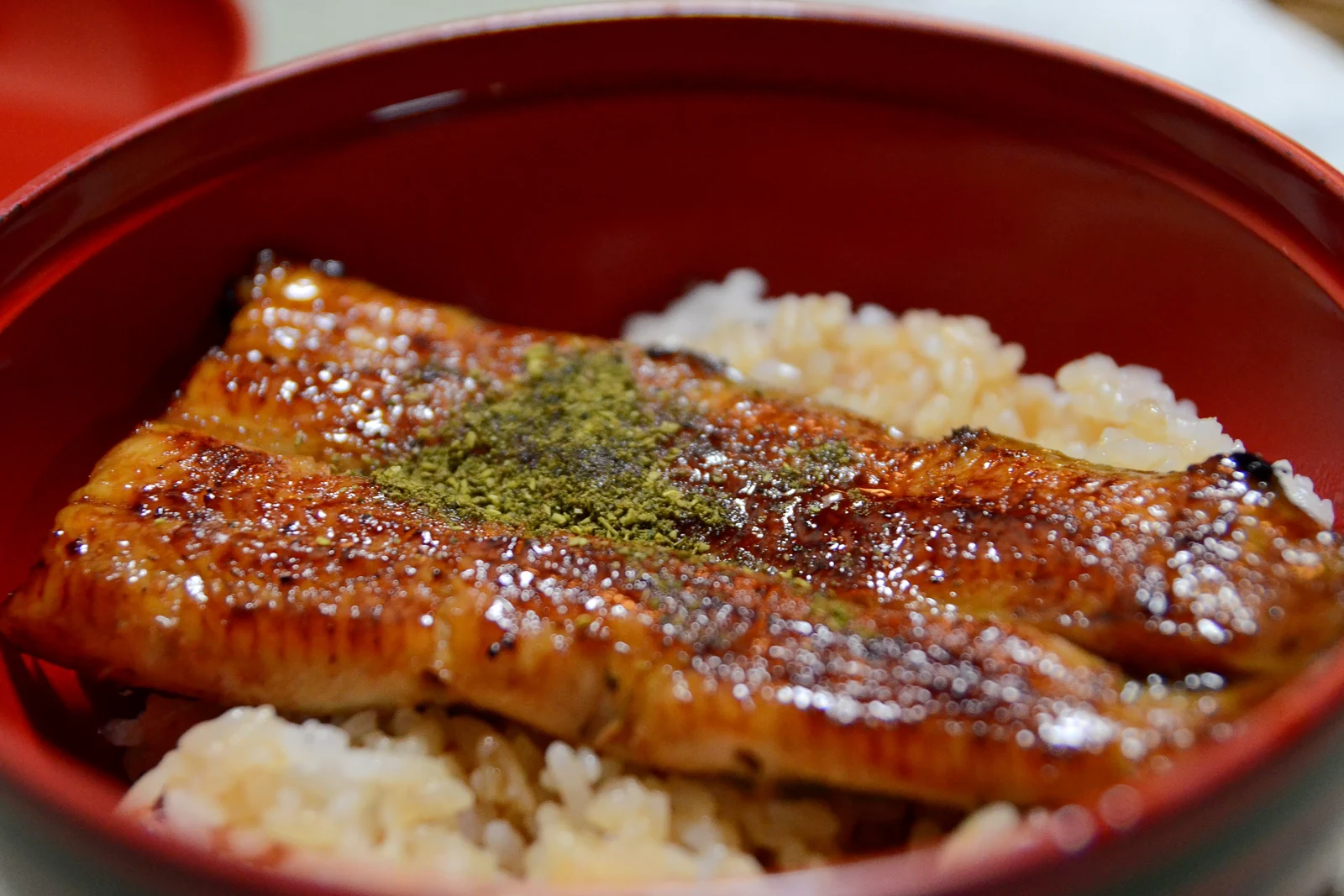 Hamamatsu Castle and an unagi lunch