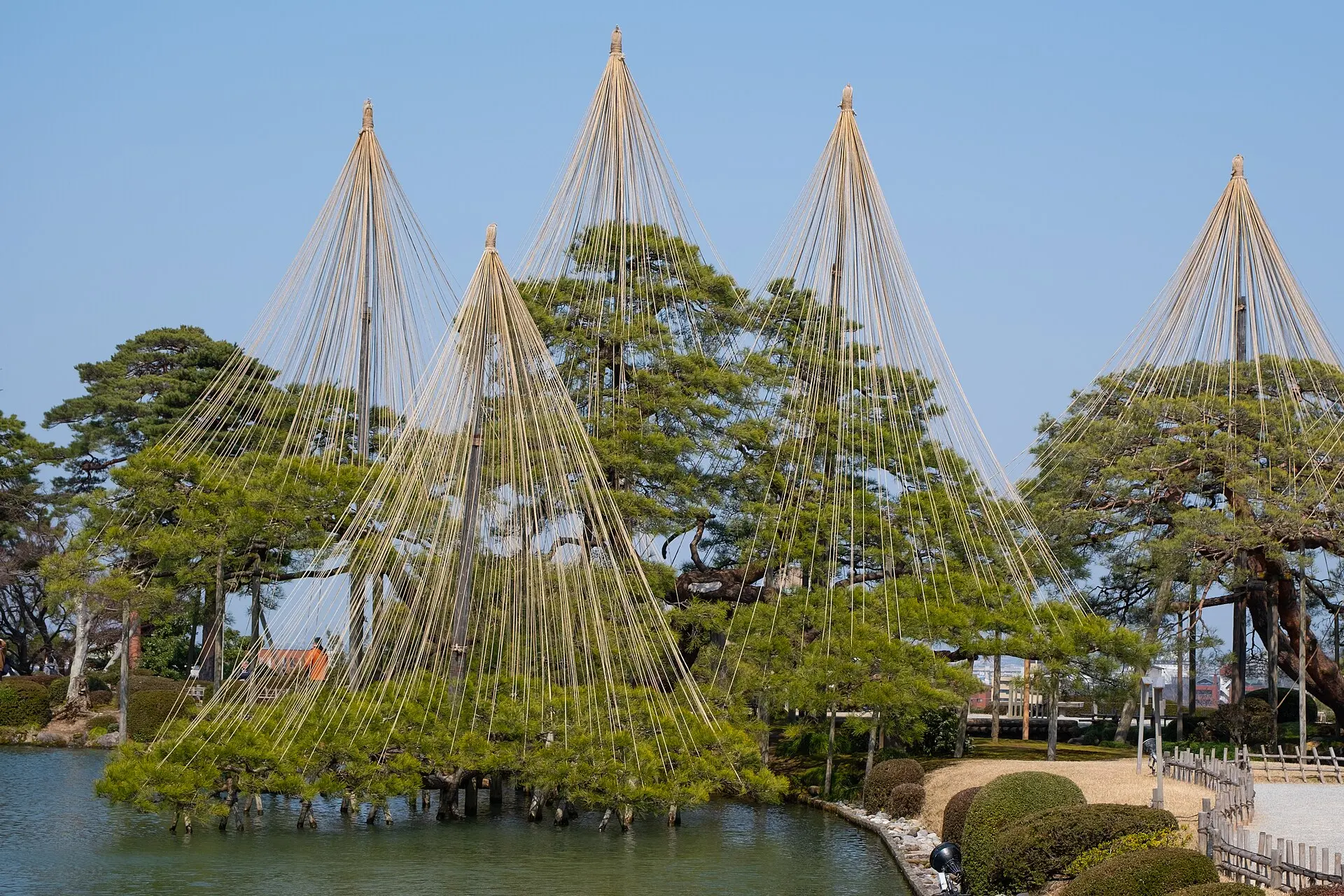 Yukitsuri ropes over the pines of Kenroku-en garden, Kanazawa