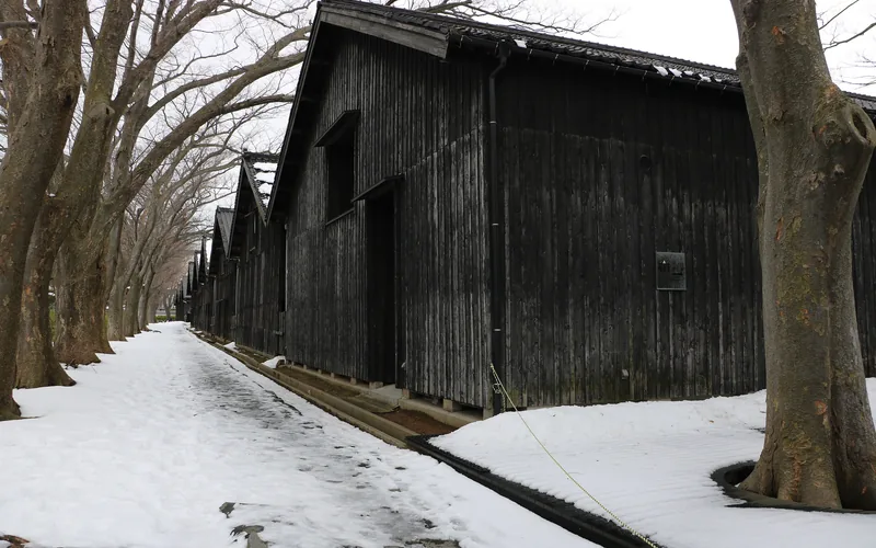 The zelkova-lined row of Sankyo rice warehouses in Sakata