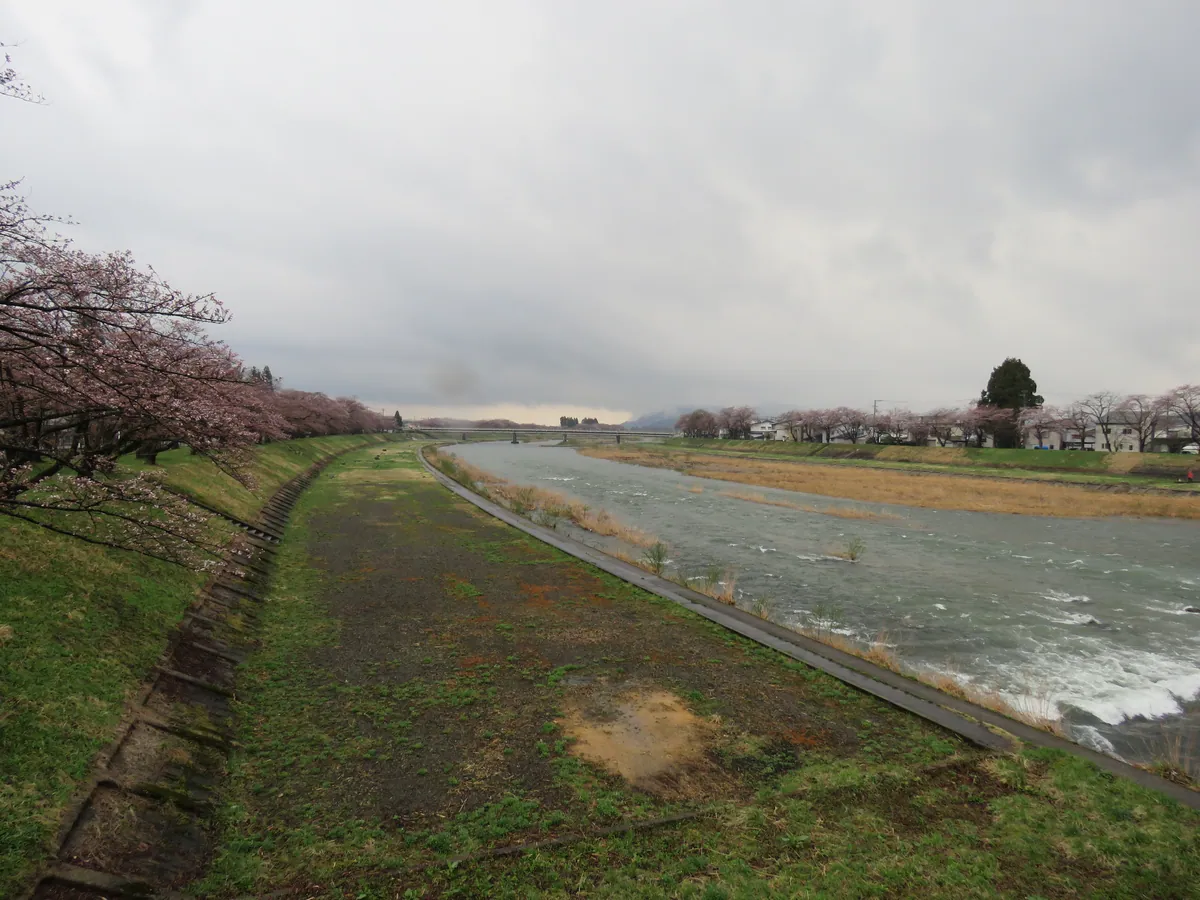 Hinokinai River in Kakunodate, seen from Yokomachi Bridge, April 2023 01