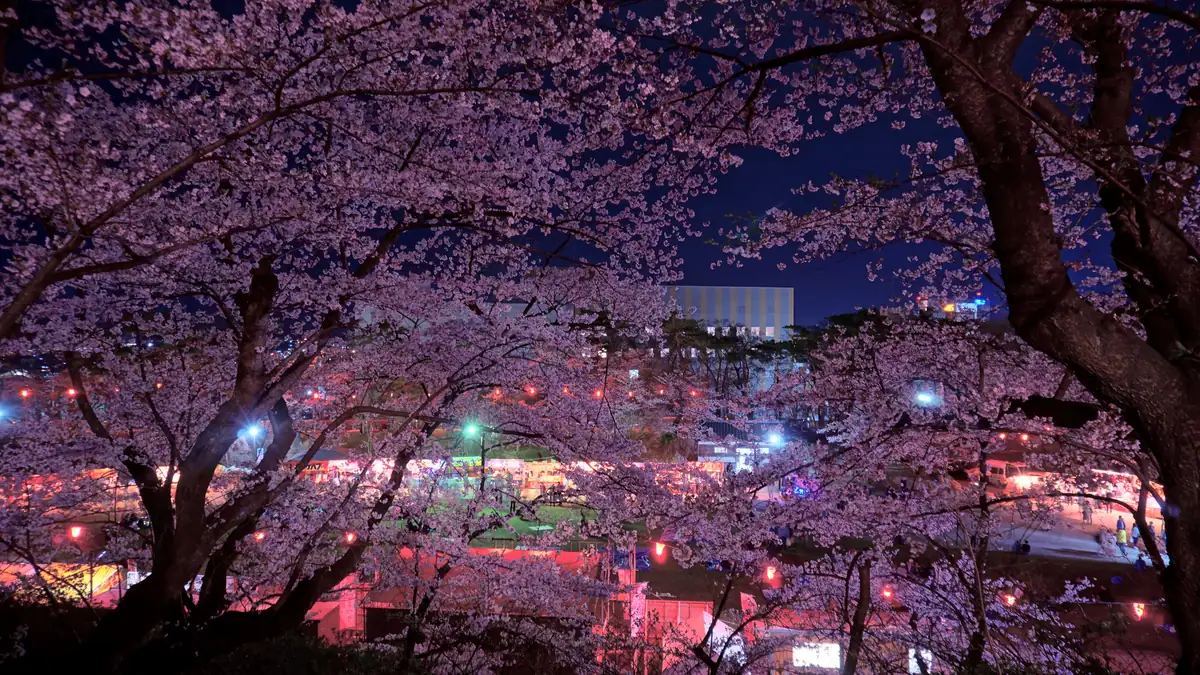 Senshu Park