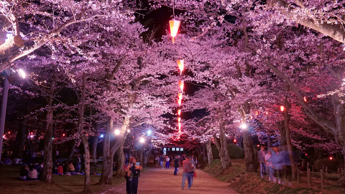 Senshu Park