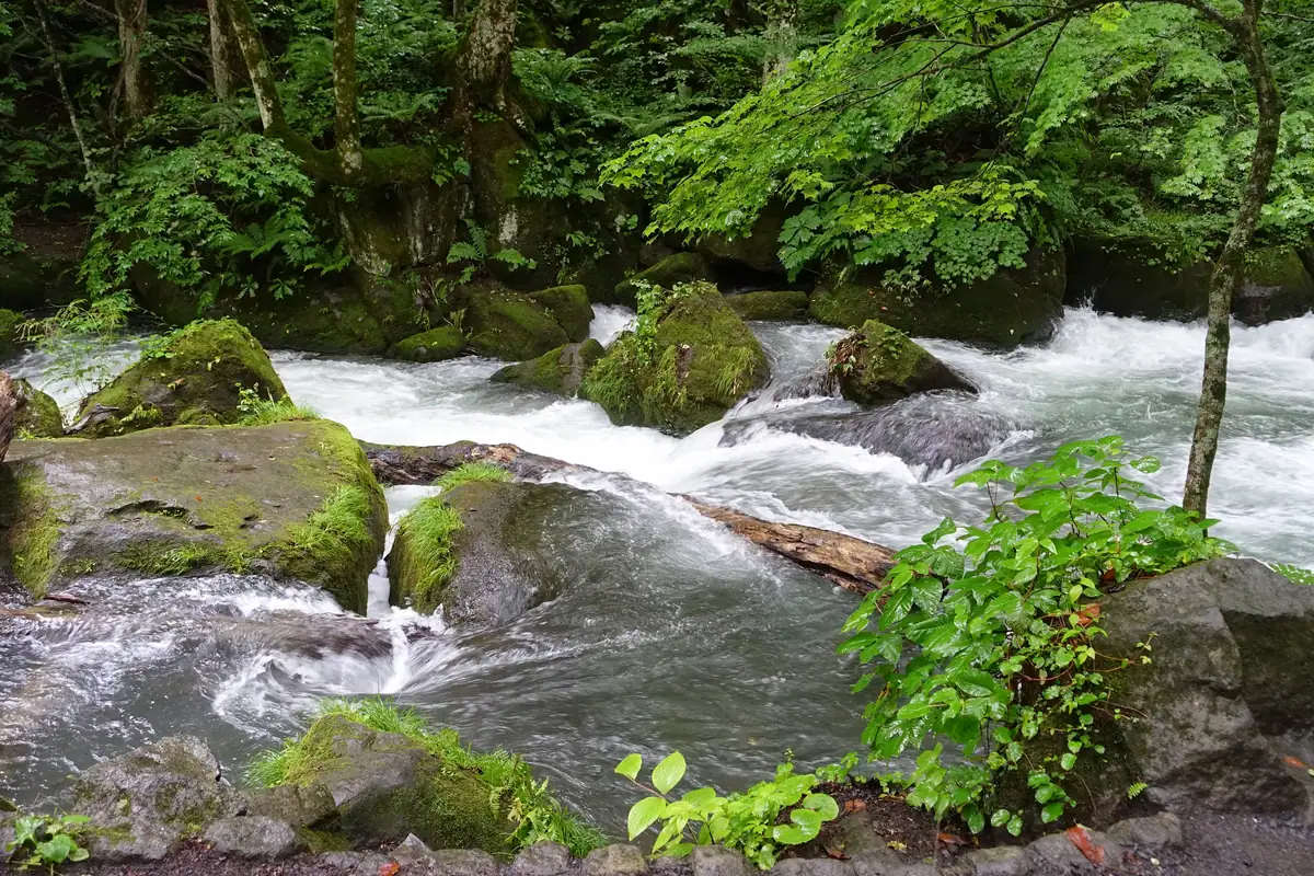 Oirase Gorge (seasonal)
