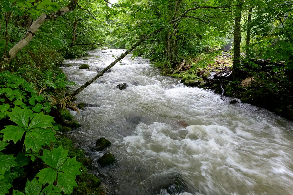 Oirase Gorge (seasonal)