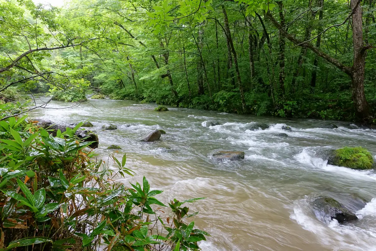 Oirase Gorge (seasonal)