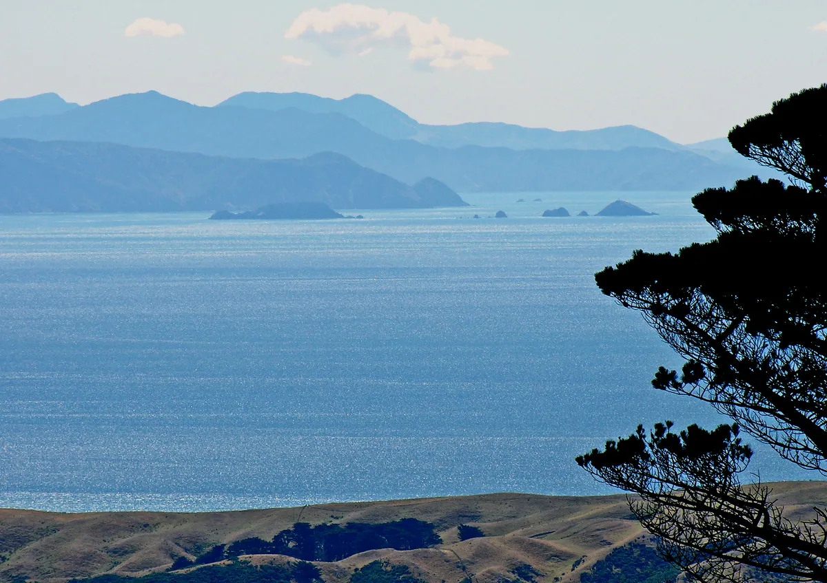 Cook Strait and Marlborough Sounds from Mount Kaukau