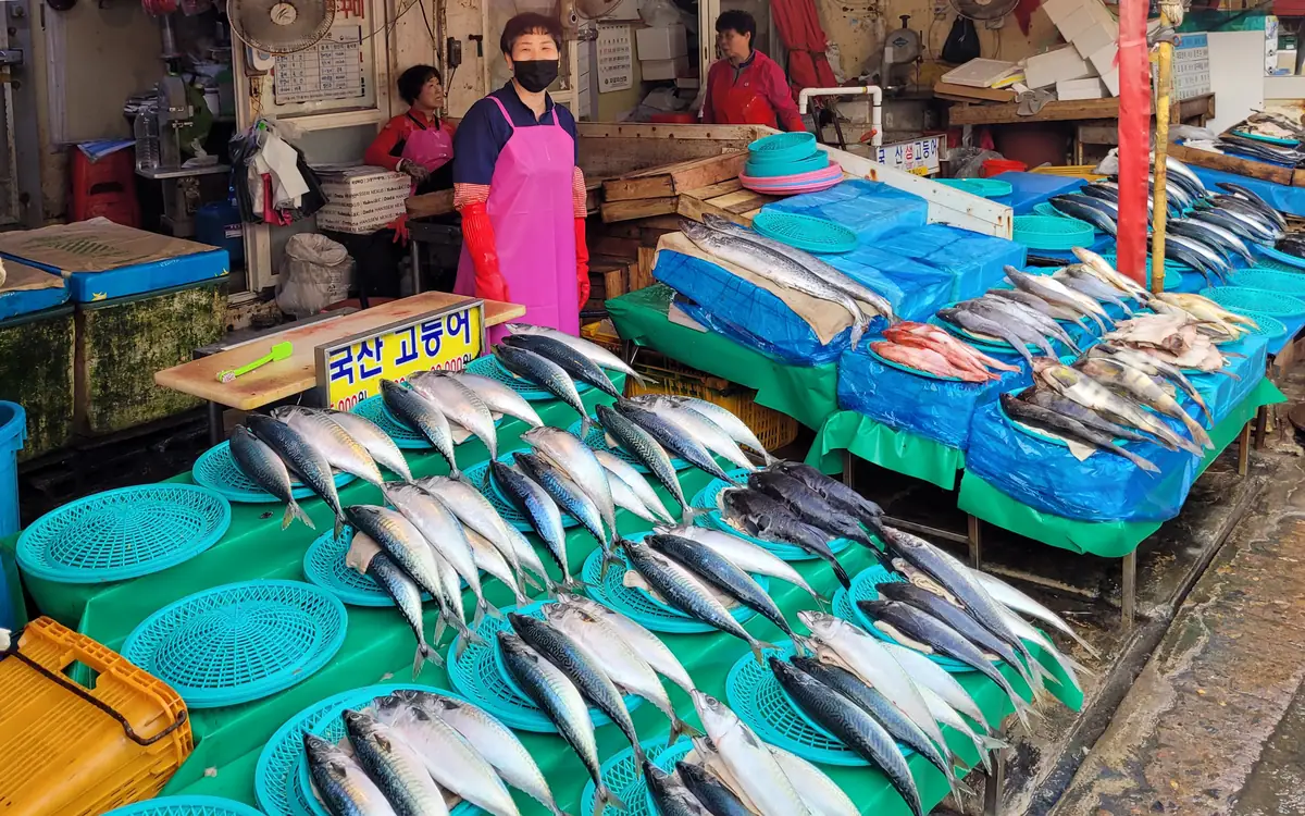 Jagalchi Market 02
