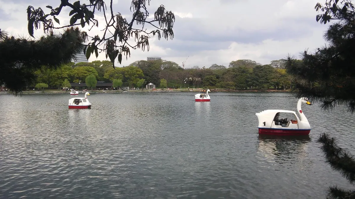 Boats on the lake at Ohori Park
