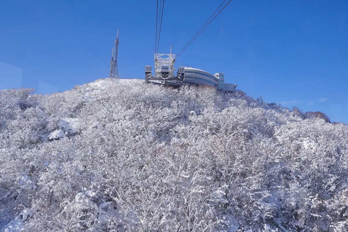 Looking up view from Mt. Hakodate Ropeway in winter