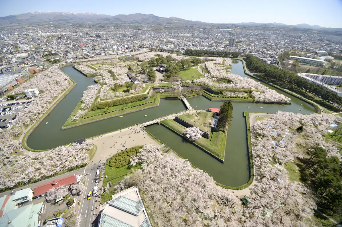 Hokkaido-Goryokaku Fort in Cherry blossom-xl