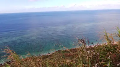 珊瑚礁浮潛・石垣島 照片4
