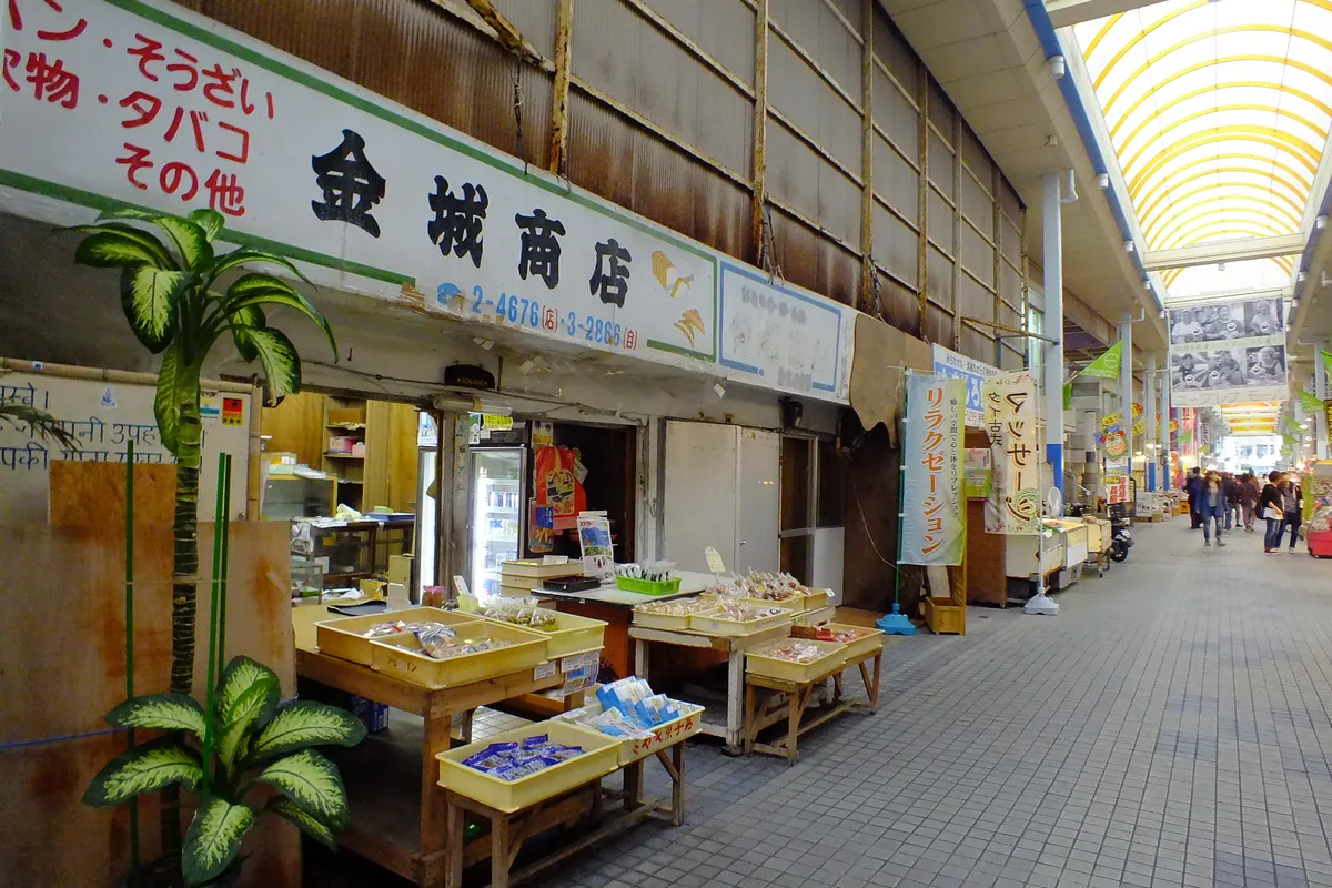 2015-12-16 Kinjo-shoten Euglena Mall 金城商店 DSCF2118