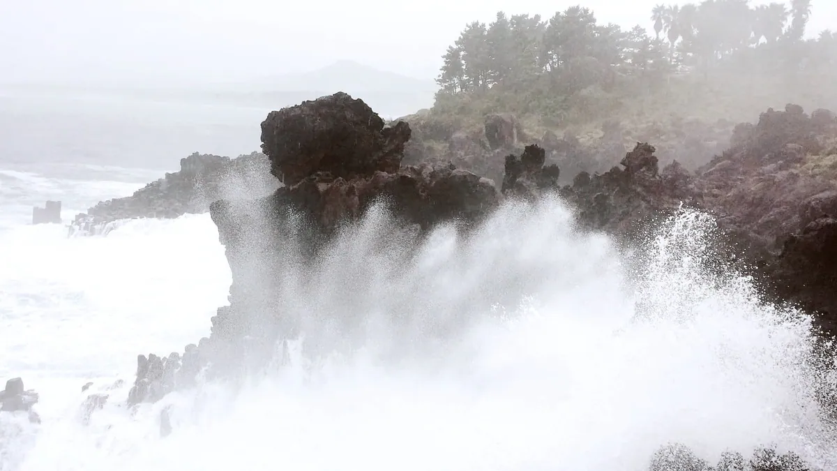 Jeju Wave