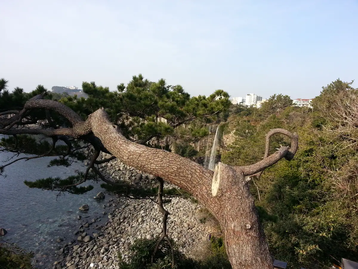 정방폭포 (1)