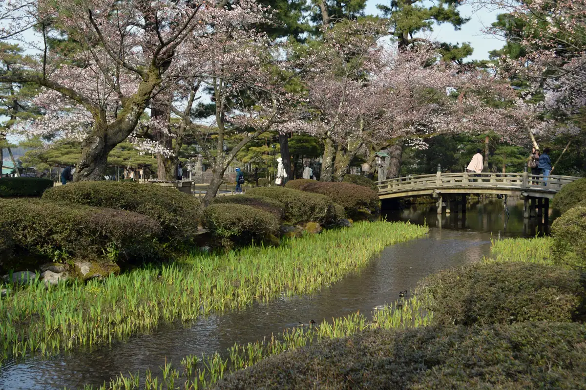 View towards Hanami-bashi with sakura, Kenroku-en, Kanazawa, 2016