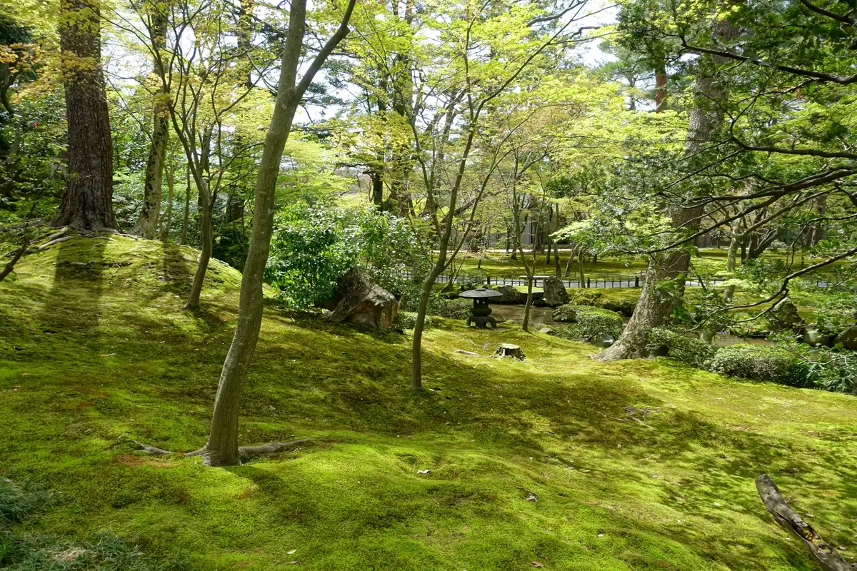 Kenroku-en with a local guide