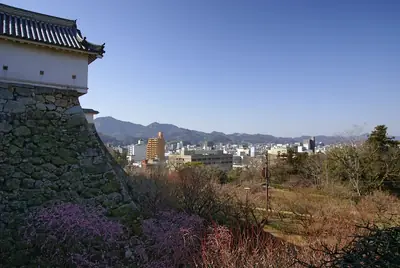 高知城+市場半日遊・高知 照片3
