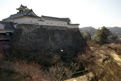 高知城+市場半日遊・高知 照片4
