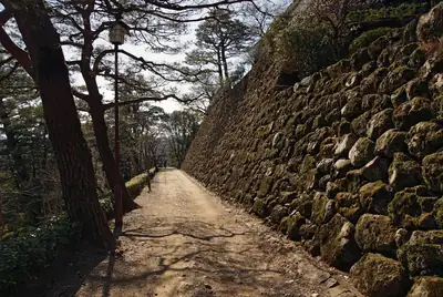 高知城+市場半日遊・高知 照片5