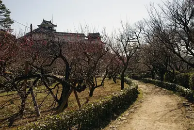 高知城＋市場半日遊・高知 照片6