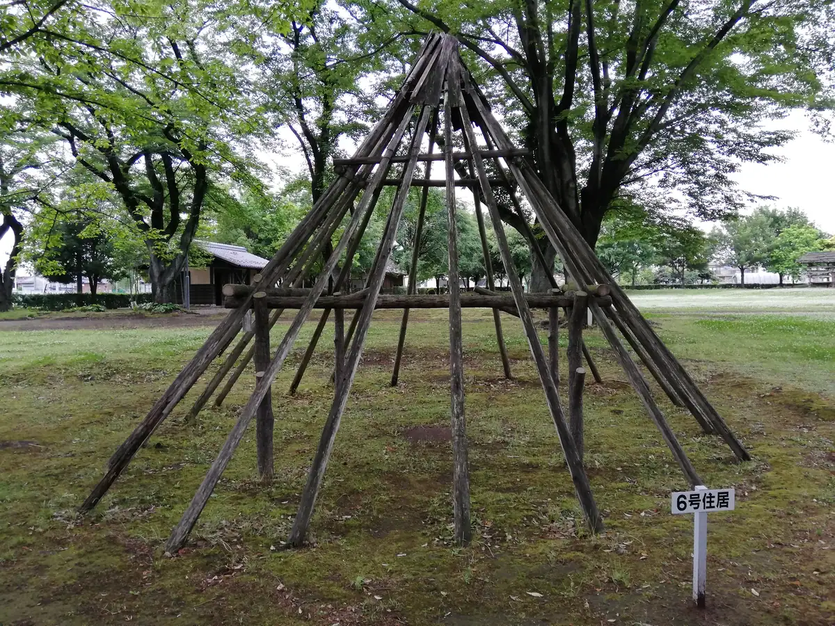 Robata Archaeological Site 6go-jukyo