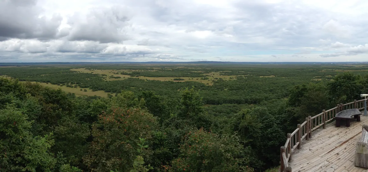 Kushiro Marsh Wetland Hokkaido Panorama 2014