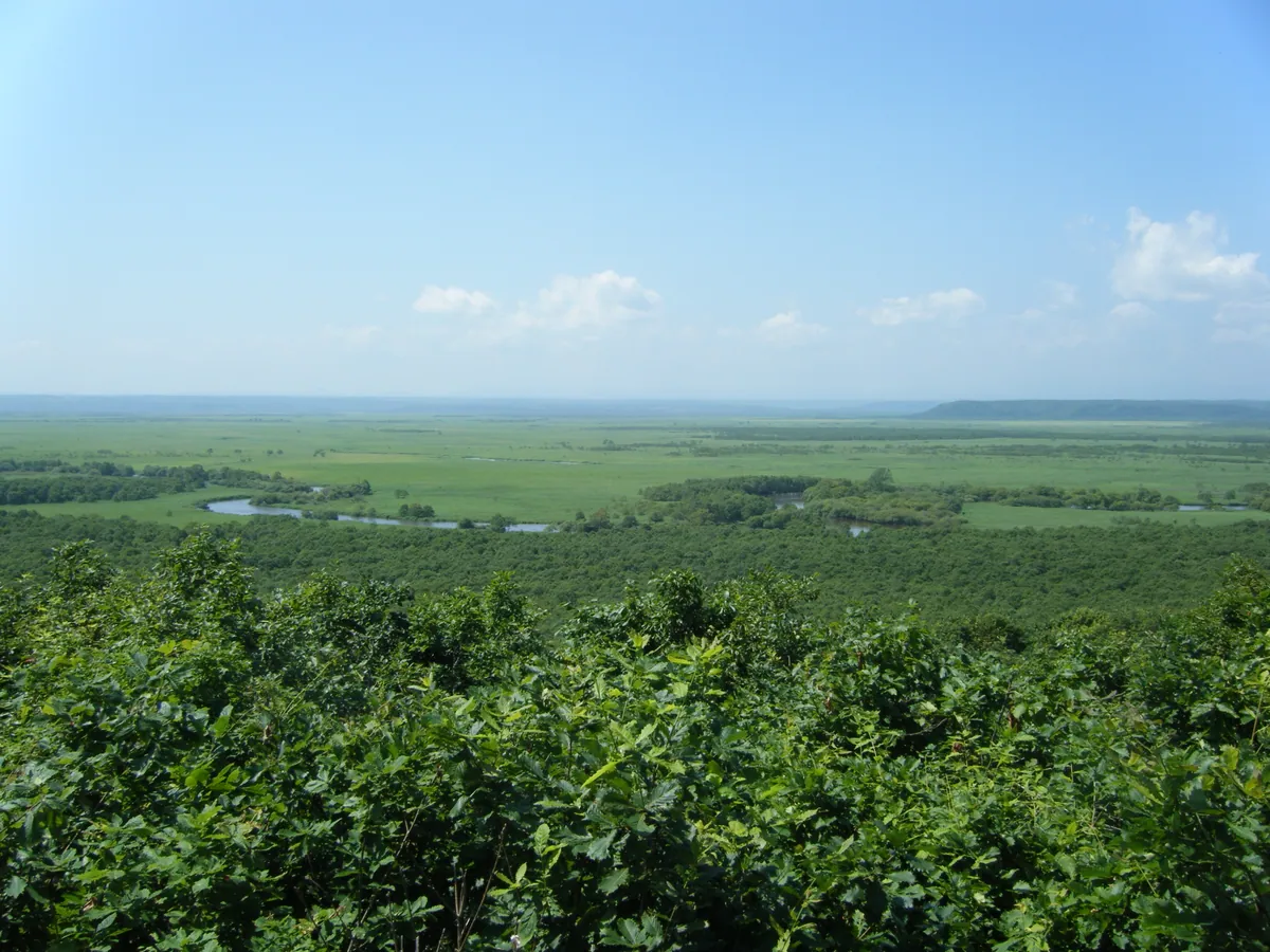 Kushiro Marsh