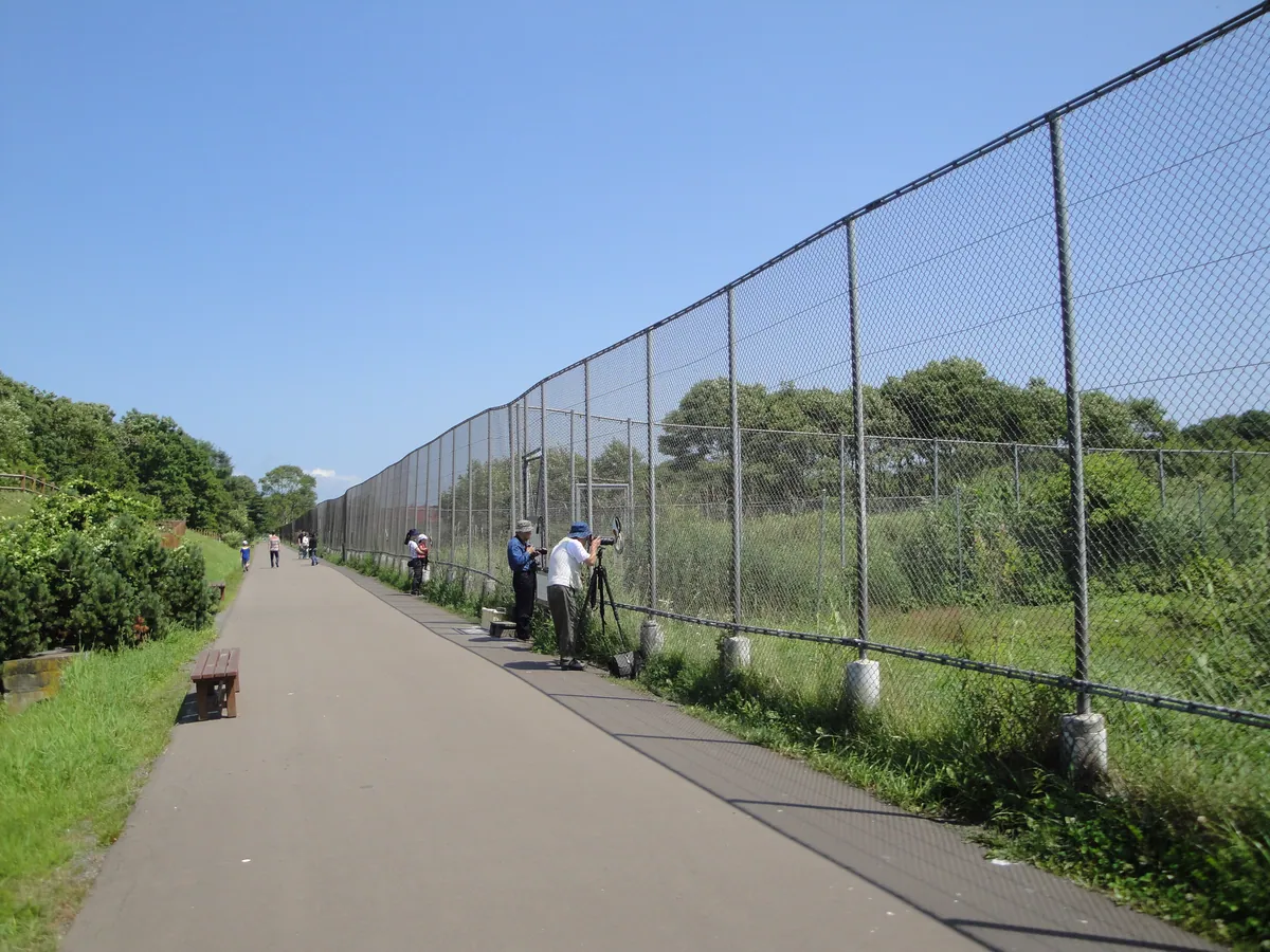 Japan Crane Reserve 01