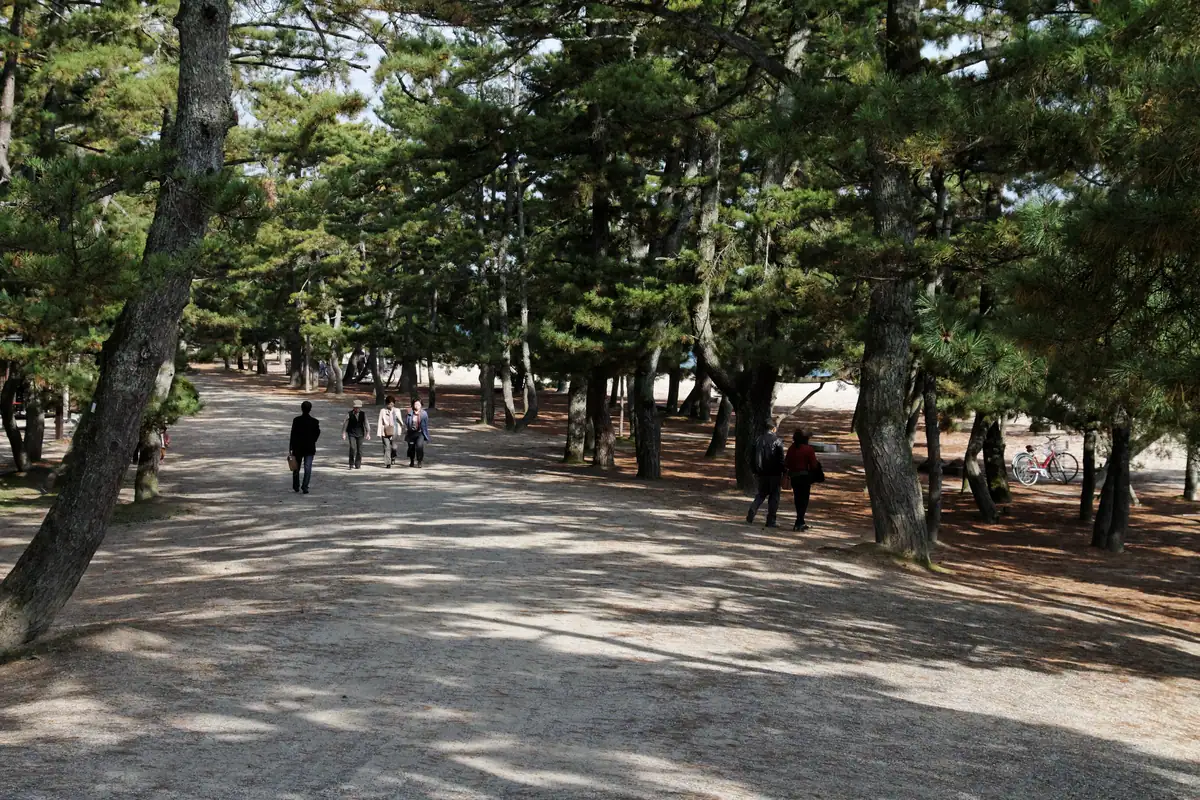 Amanohashidate