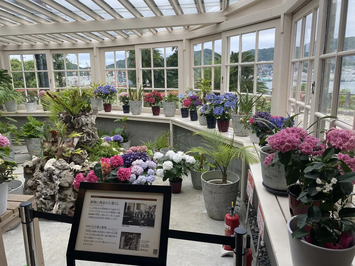 Glover garden in Kyushu indoor flower garden