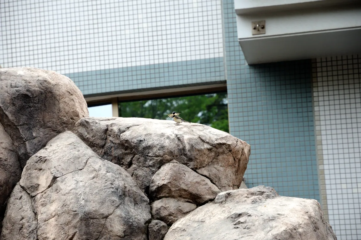Niigata City Aquarium
