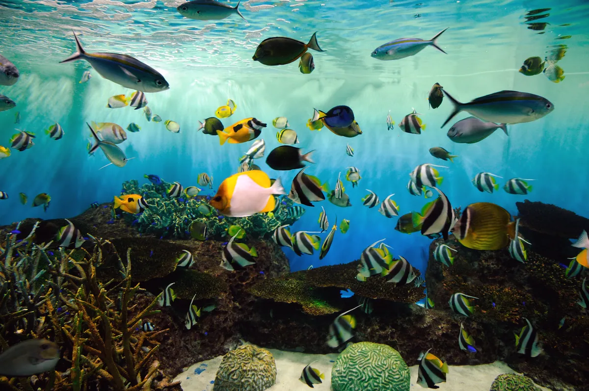Niigata City Aquarium