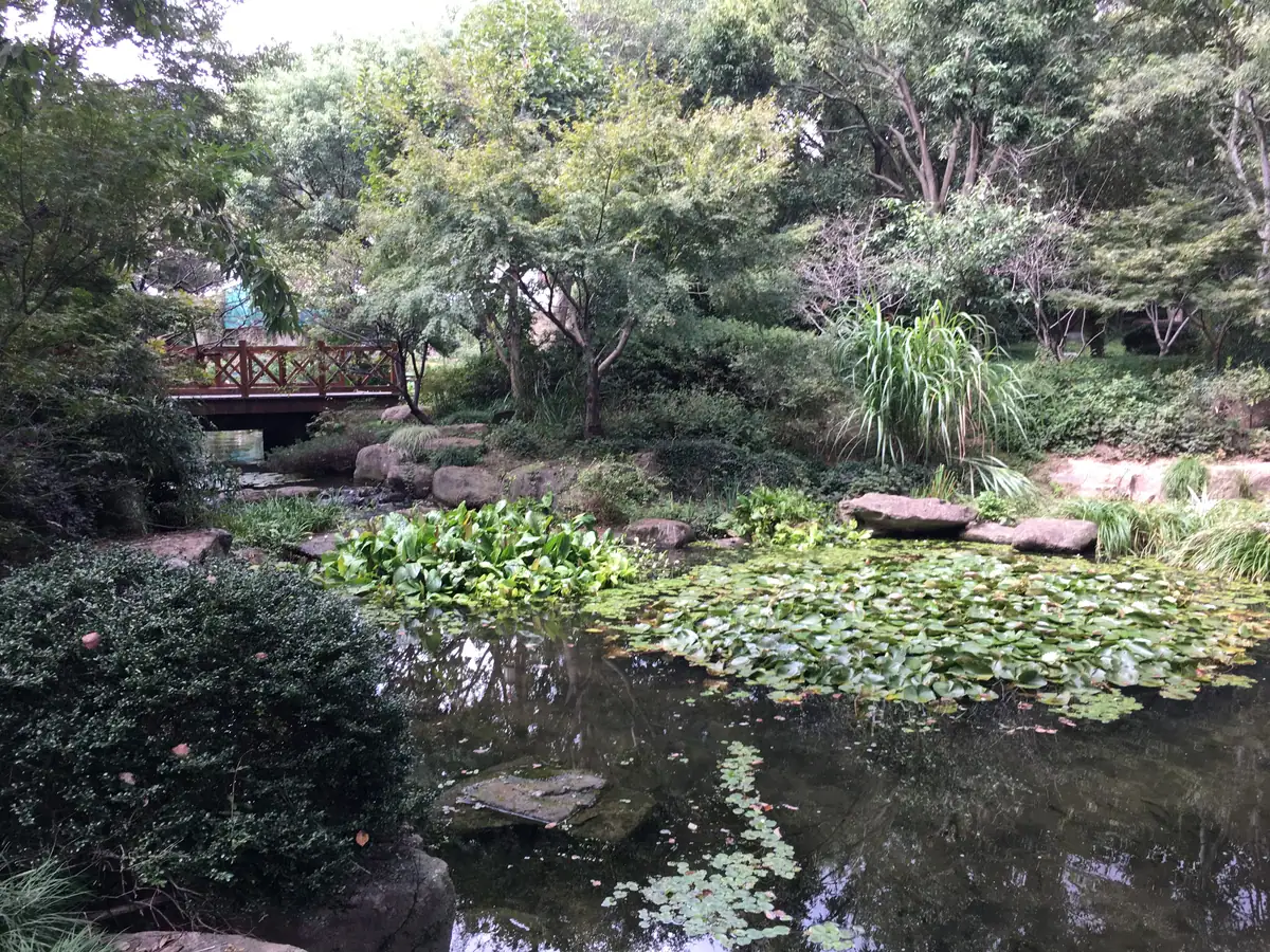 China National Tea Museum 4
