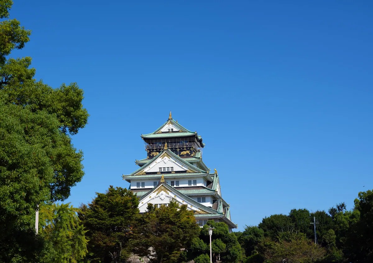 Osaka Castle 2 Osaka Japan by Don Ramey Logan