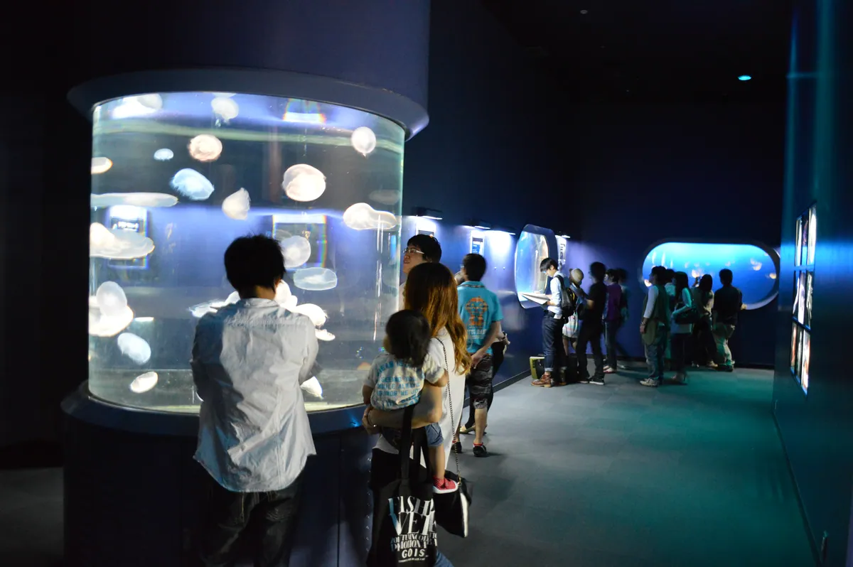 Osaka Aquarium Kaiyukan 2013-09A