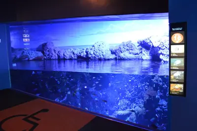 大阪海遊館・大阪 照片5