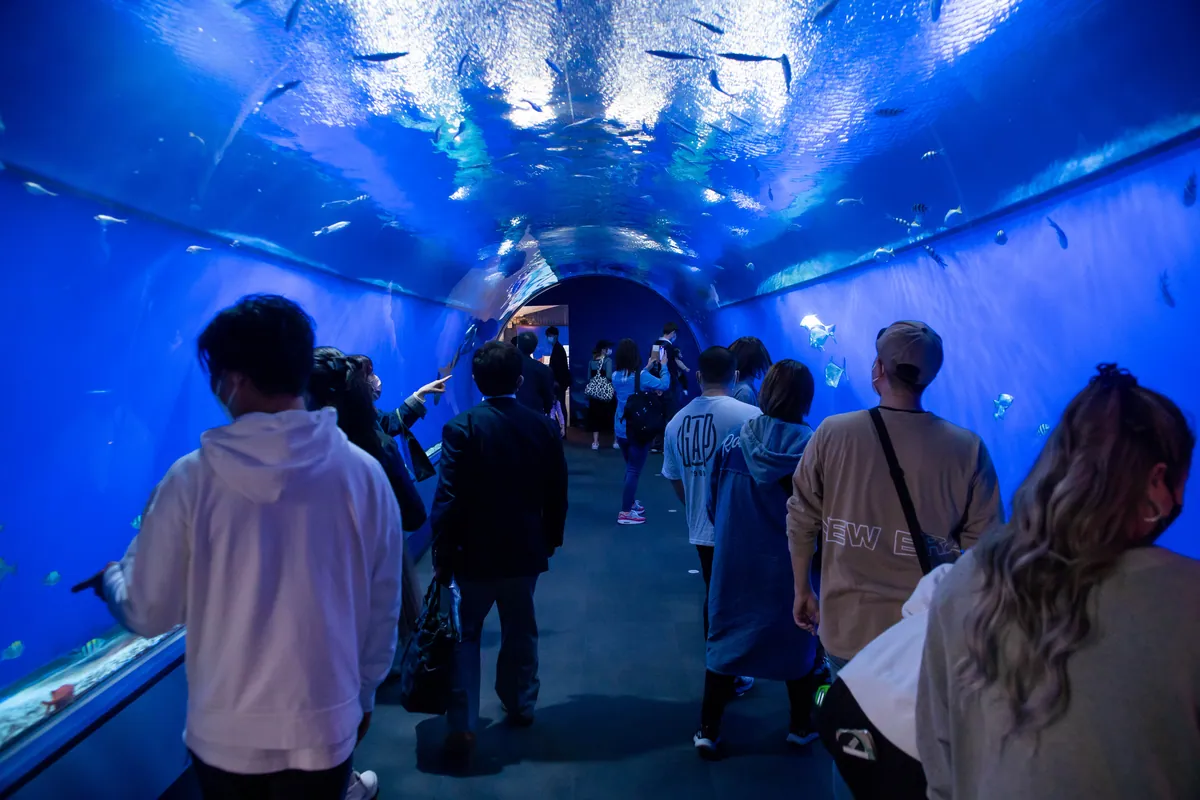 Osaka Aquarium Kaiyukan