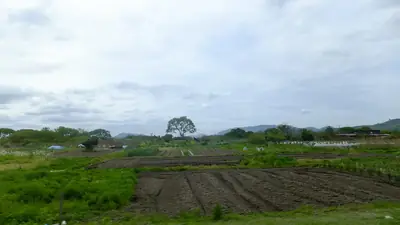Takenouchi Sakaiminatocity Tottoripref No 1