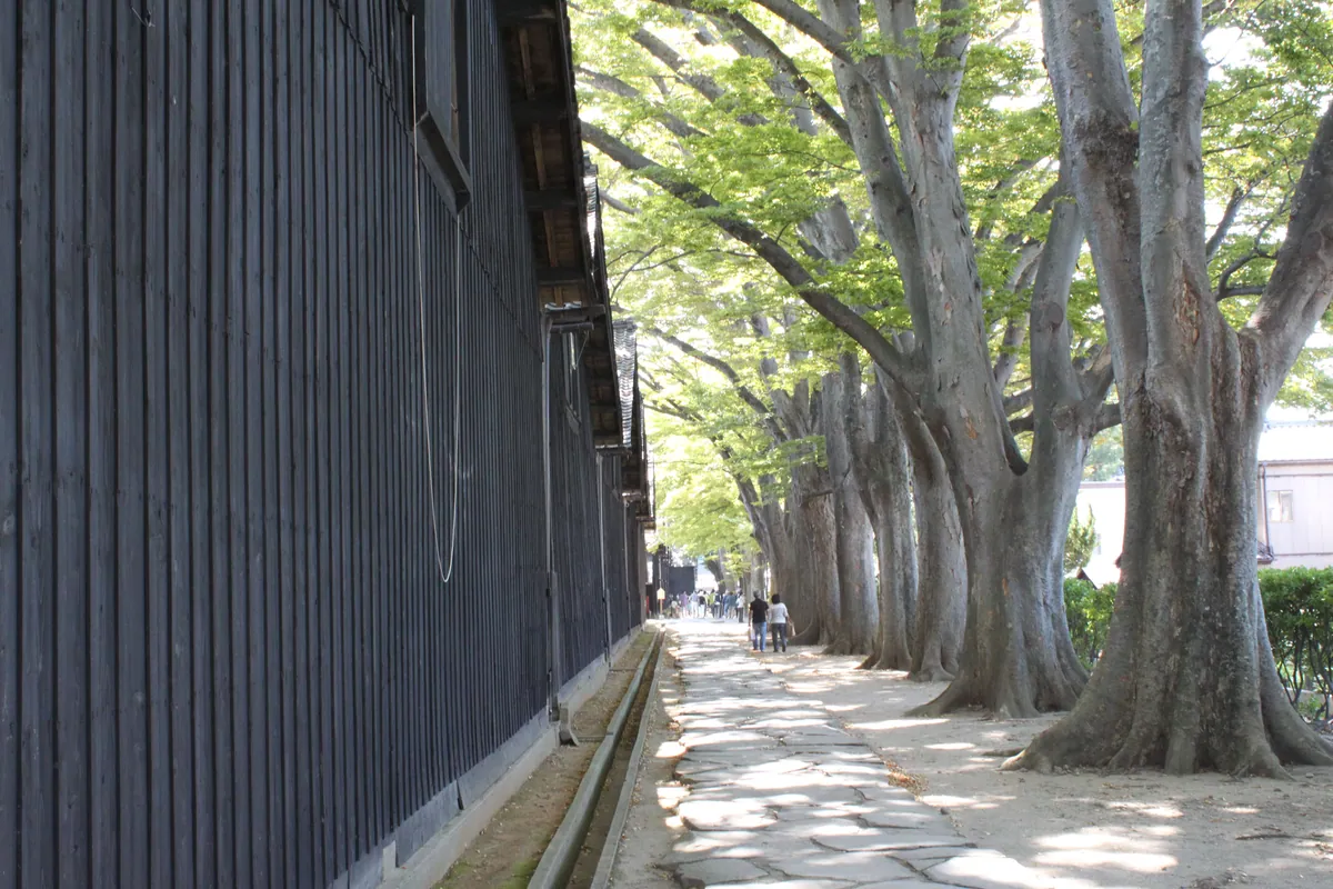 Sankyo Warehouses