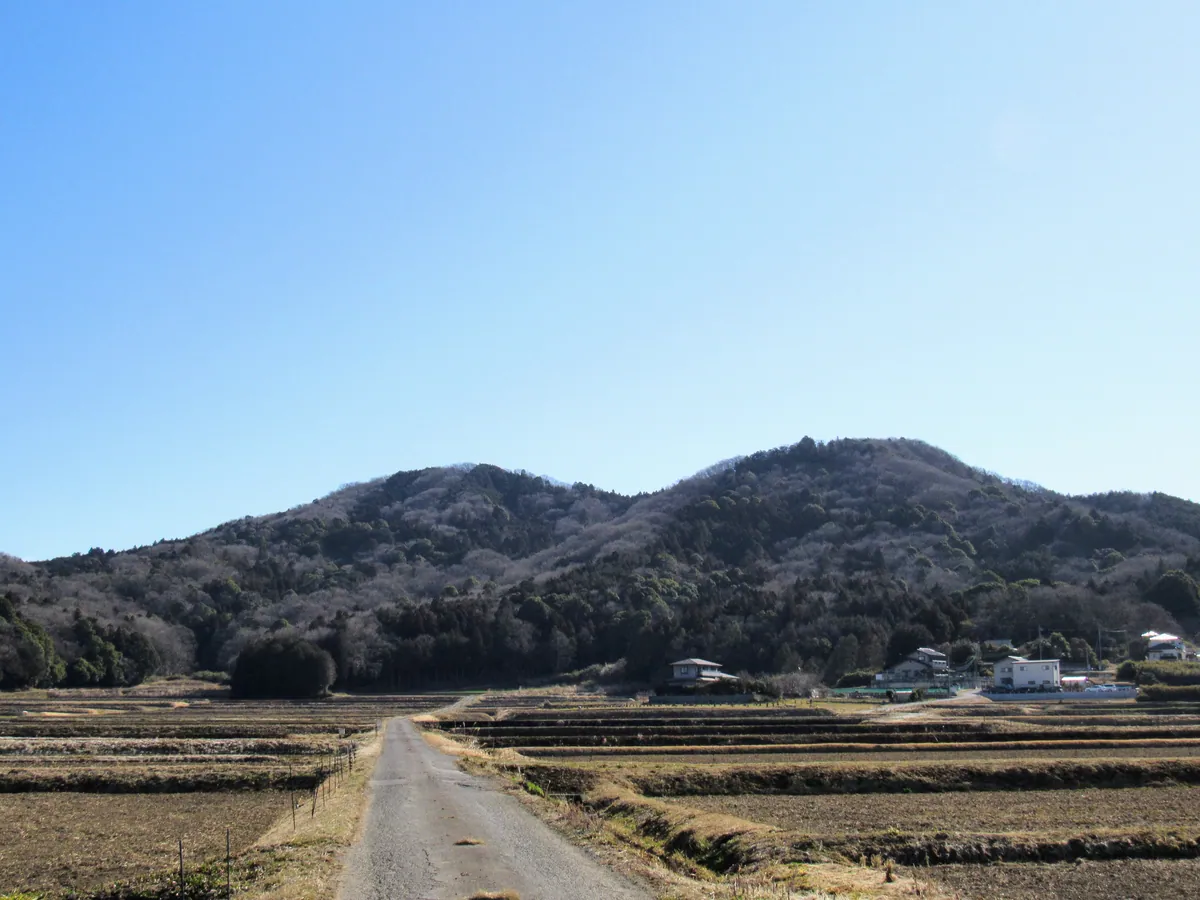 IMG 羽黒山