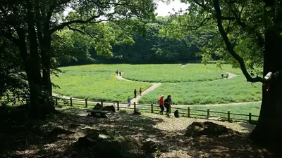 展海峰觀景台・佐世保 照片3