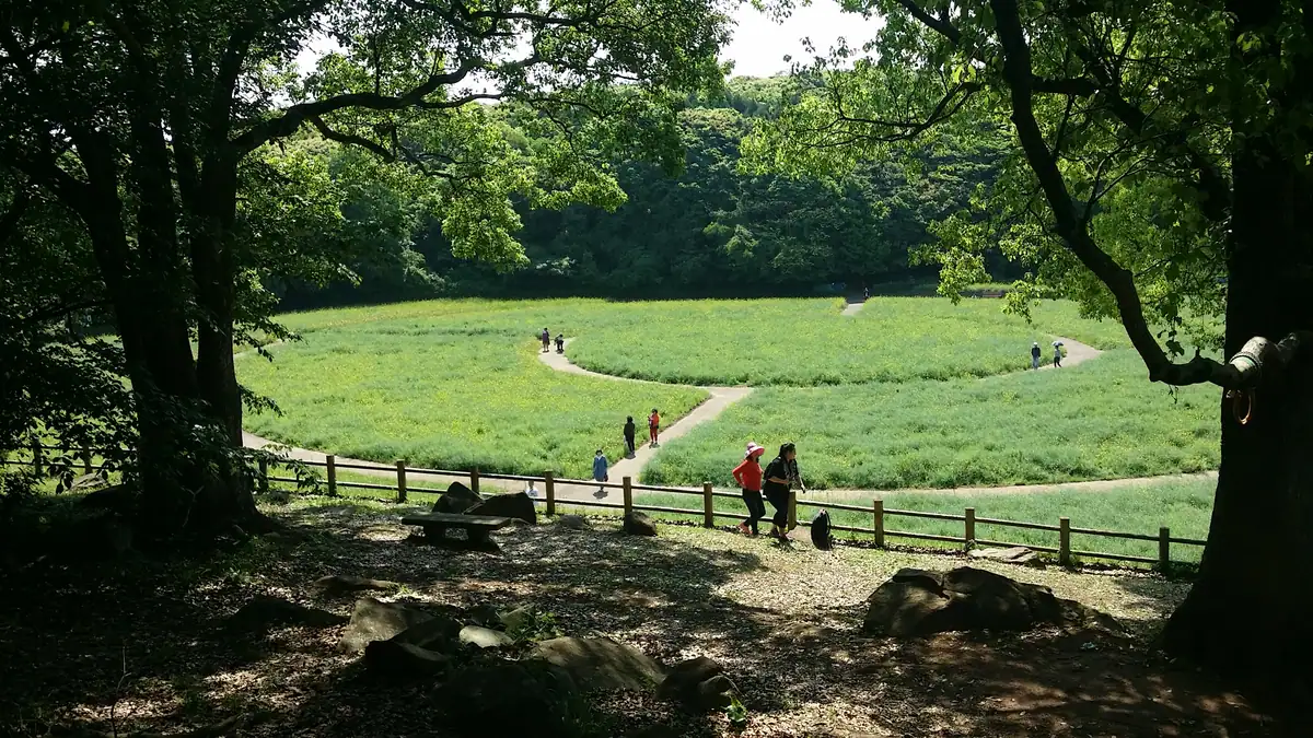 A landscape view built like Crop circle in Sasebo's National Park near Tenkaiho (99 Islands-appriciating platform)