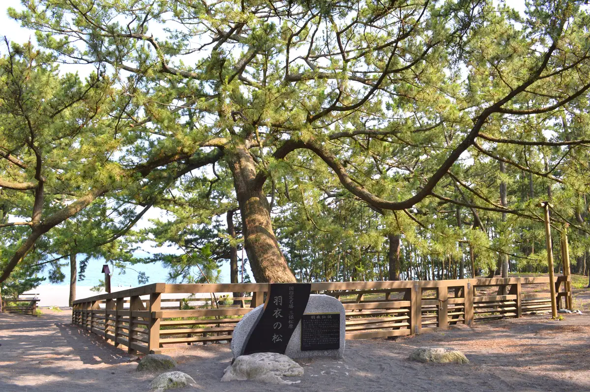 Miho-no-Matsubara Hagoromo-no-matsu