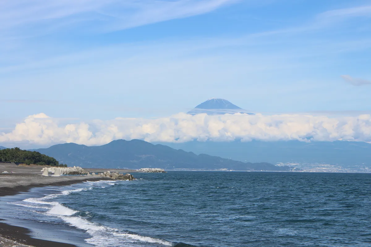 Miho no Matsubara pine grove